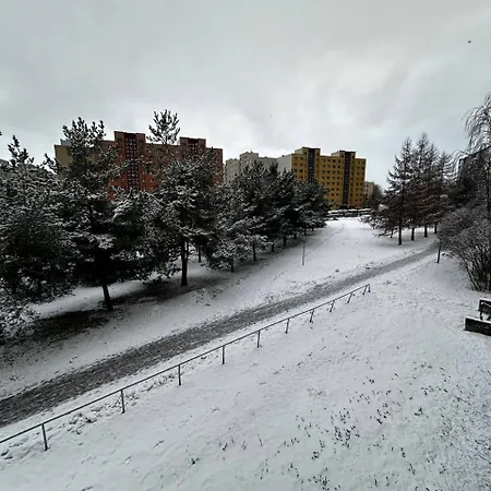 Tallinn's Prime Spot: Pae 49 - Near Airport, Concerts & Shops Apartment *